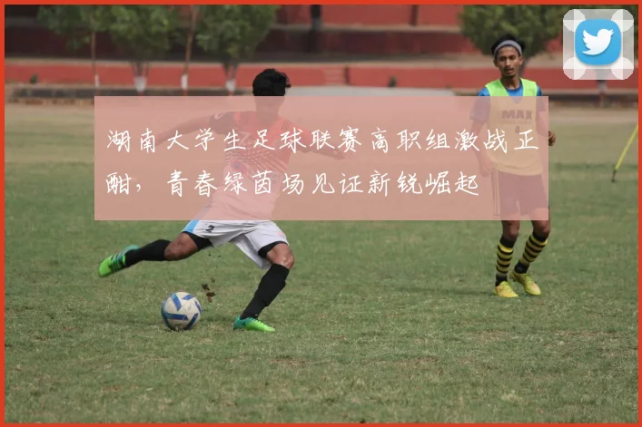 湖南大学生足球联赛高职组激战正酣,青春绿茵场见证新锐崛起
