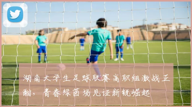 湖南大学生足球联赛高职组激战正酣，青春绿茵场见证新锐崛起